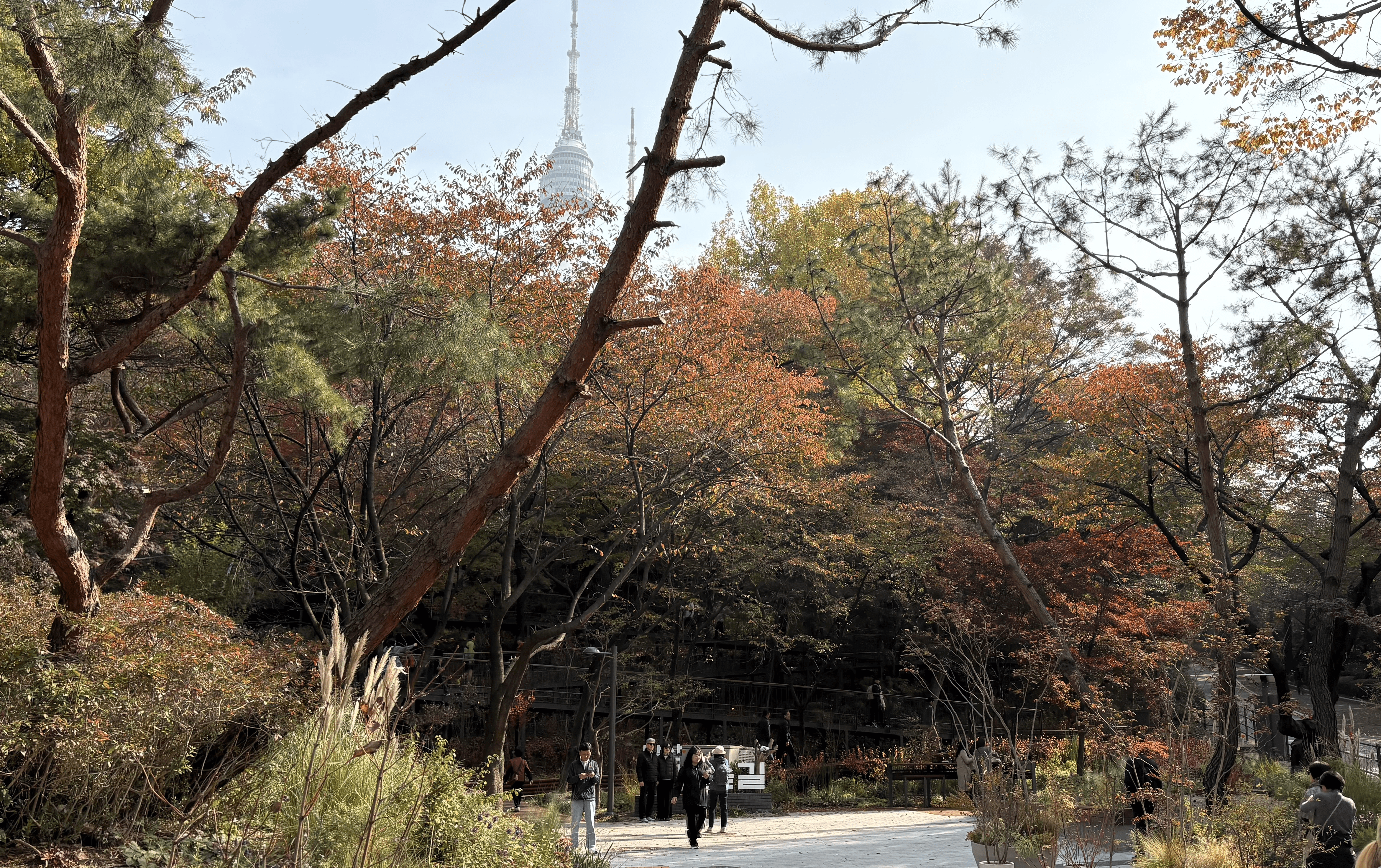 피플카운팅 솔루션 공급 | 첨단보안협동조합